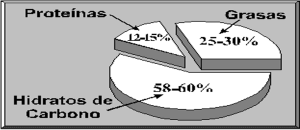 nutrición deportiva
