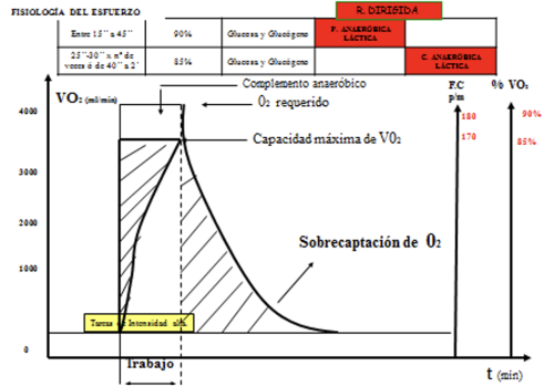 Capacidad Anaeróbica - Intensidad Alta